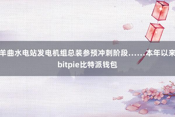 羊曲水电站发电机组总装参预冲刺阶段……本年以来bitpie比特派钱包