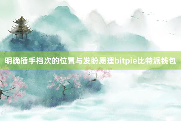 明确插手档次的位置与发盼愿理bitpie比特派钱包