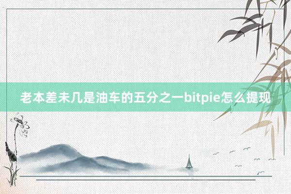 老本差未几是油车的五分之一bitpie怎么提现