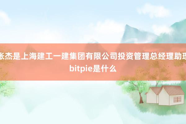 张杰是上海建工一建集团有限公司投资管理总经理助理bitpie是什么