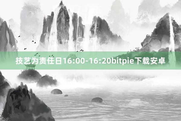 技艺为责任日16:00-16:20bitpie下载安卓