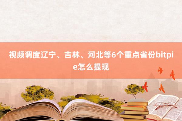 视频调度辽宁、吉林、河北等6个重点省份bitpie怎么提现