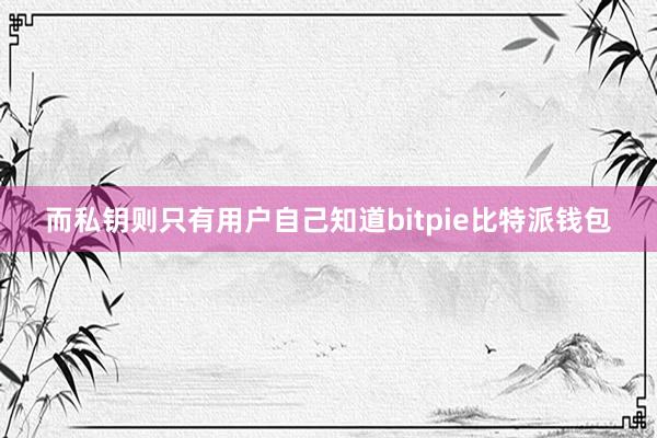 而私钥则只有用户自己知道bitpie比特派钱包