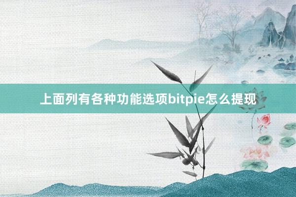 上面列有各种功能选项bitpie怎么提现