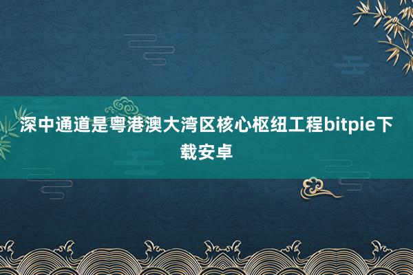 深中通道是粤港澳大湾区核心枢纽工程bitpie下载安卓