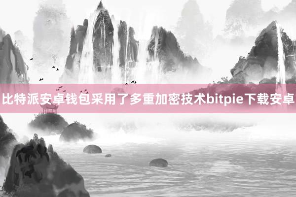 比特派安卓钱包采用了多重加密技术bitpie下载安卓