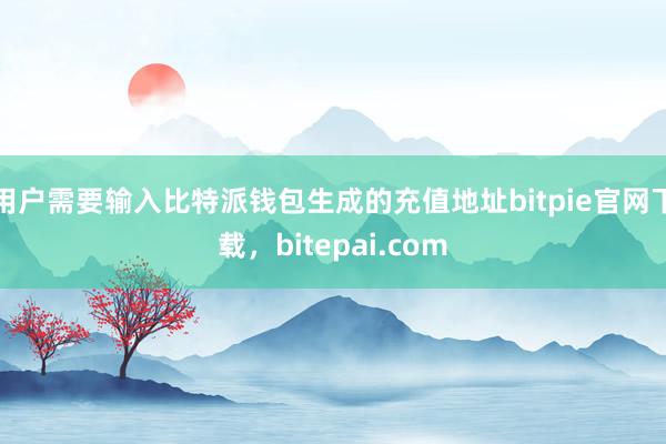 用户需要输入比特派钱包生成的充值地址bitpie官网下载，bitepai.com