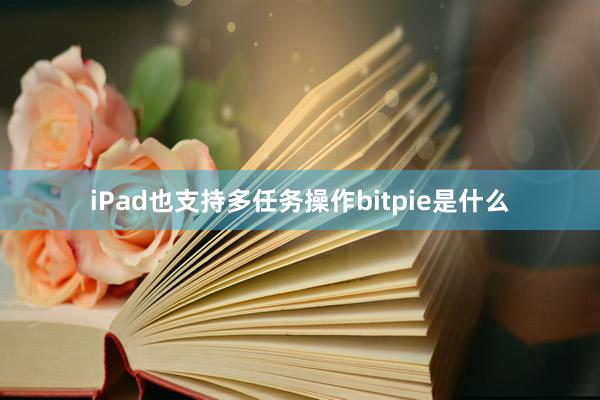 iPad也支持多任务操作bitpie是什么