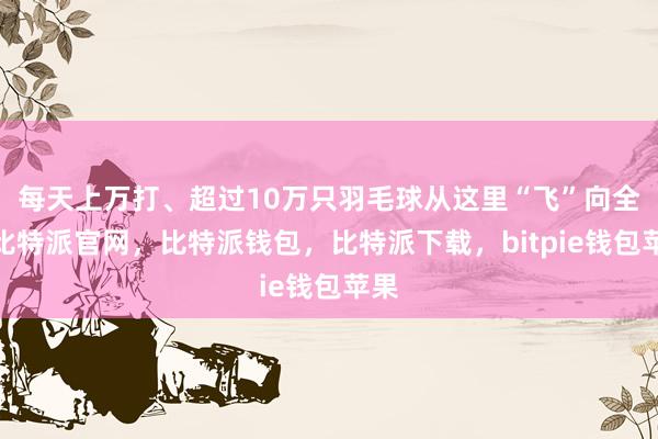 每天上万打、超过10万只羽毛球从这里“飞”向全球比特派官网，比特派钱包，比特派下载，bitpie钱包苹果