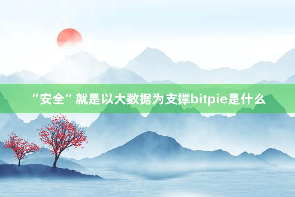 “安全”就是以大数据为支撑bitpie是什么