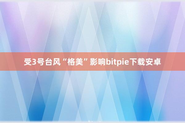 受3号台风“格美”影响bitpie下载安卓