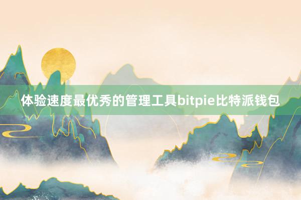 体验速度最优秀的管理工具bitpie比特派钱包