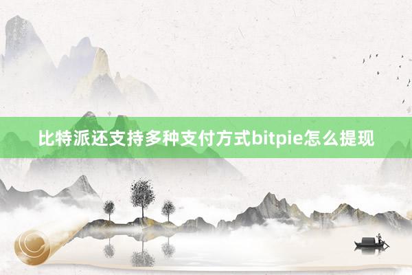 比特派还支持多种支付方式bitpie怎么提现