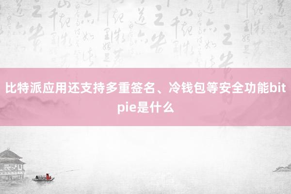 比特派应用还支持多重签名、冷钱包等安全功能bitpie是什么