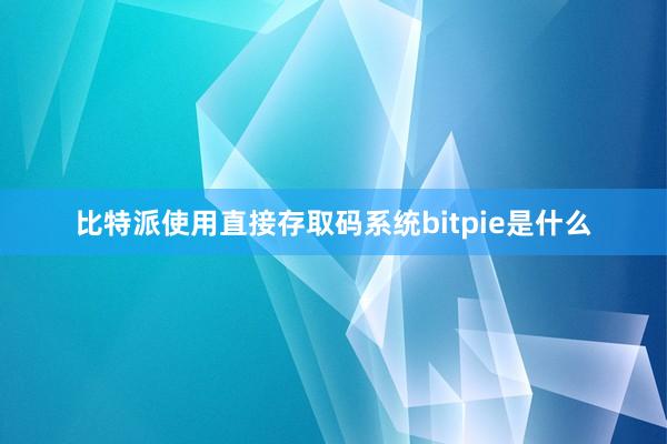 比特派使用直接存取码系统bitpie是什么