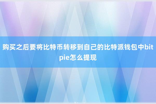 购买之后要将比特币转移到自己的比特派钱包中bitpie怎么提现