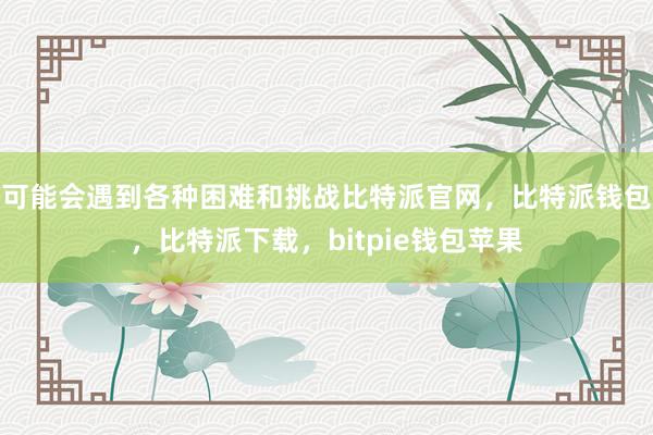 可能会遇到各种困难和挑战比特派官网，比特派钱包，比特派下载，bitpie钱包苹果