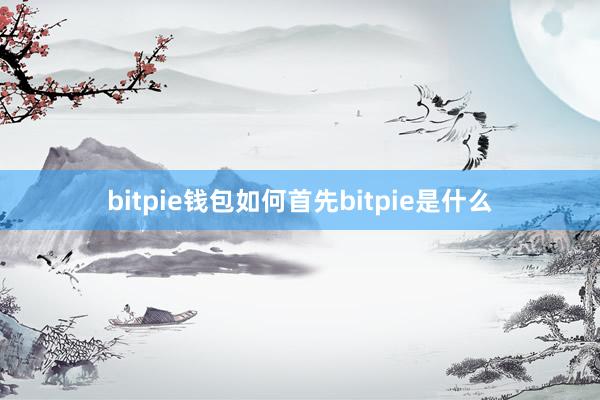 bitpie钱包如何首先bitpie是什么