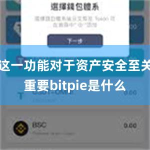 这一功能对于资产安全至关重要bitpie是什么