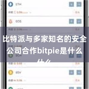 比特派与多家知名的安全公司合作bitpie是什么