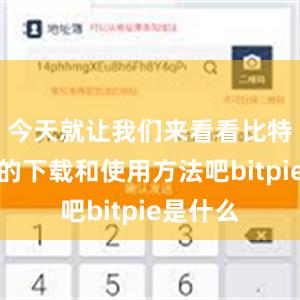 今天就让我们来看看比特派应用的下载和使用方法吧bitpie是什么