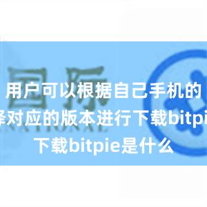 用户可以根据自己手机的系统选择对应的版本进行下载bitpie是什么