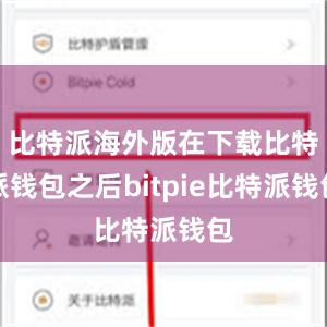 比特派海外版在下载比特派钱包之后bitpie比特派钱包