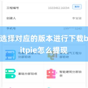 选择对应的版本进行下载bitpie怎么提现