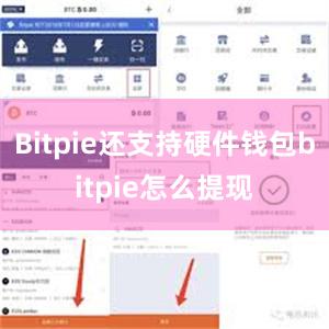 Bitpie还支持硬件钱包bitpie怎么提现