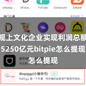 规上文化企业实现利润总额5250亿元bitpie怎么提现