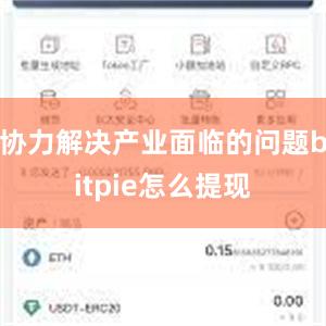 协力解决产业面临的问题bitpie怎么提现