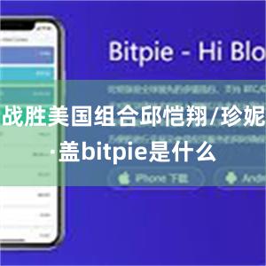 战胜美国组合邱恺翔/珍妮·盖bitpie是什么