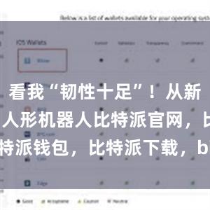 看我“韧性十足”！从新能源汽车到人形机器人比特派官网，比特派钱包，比特派下载，bitpie钱包苹果