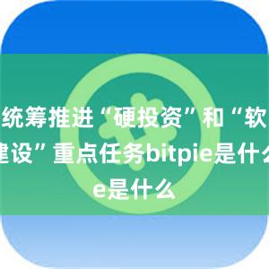 统筹推进“硬投资”和“软建设”重点任务bitpie是什么