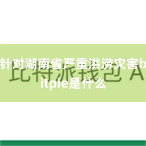 针对湖南省严重洪涝灾害bitpie是什么