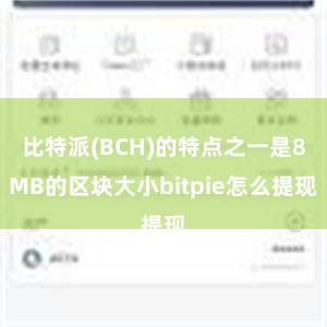 比特派(BCH)的特点之一是8MB的区块大小bitpie怎么提现