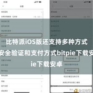 比特派iOS版还支持多种方式的安全验证和支付方式bitpie下载安卓