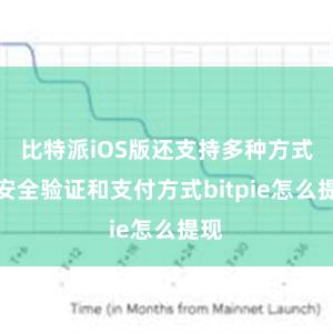 比特派iOS版还支持多种方式的安全验证和支付方式bitpie怎么提现